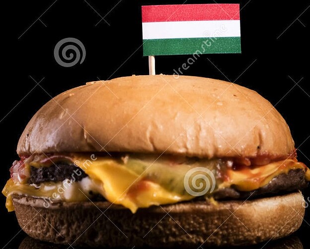hungarian-flag-top-hamburger-isolated-black-background-96967691